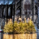 Illuminierte Weihnachtsbäume stehen auf dem Roncalliplatz in der Kölner Innenstadt vor dem Dom.