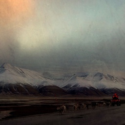 Ortsausgang in Svalbard, Norwegen.