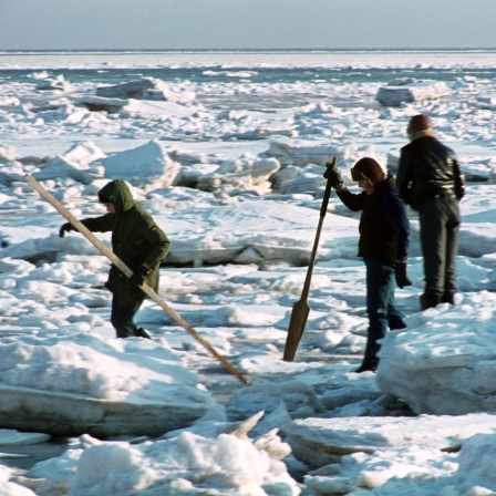Zugefrorenes Wattenmeer, hier im Jahre 1972  (Archivbild)