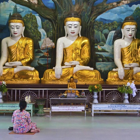 Buddhas Töchter - Frauen auf dem Weg zur Erleuchtung