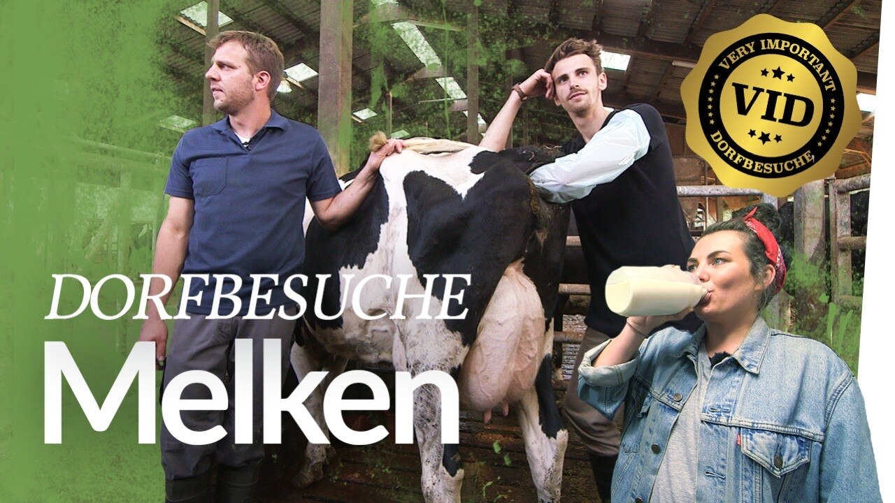 V.I.D 2 Melken mit Franzi & Fynn besamt 
