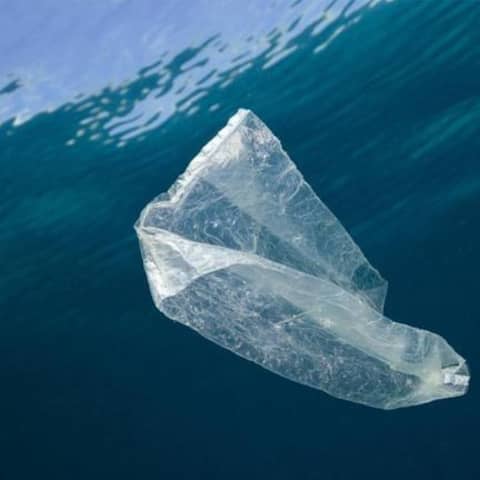 Eine Plastiktüte schwimmt im Meer