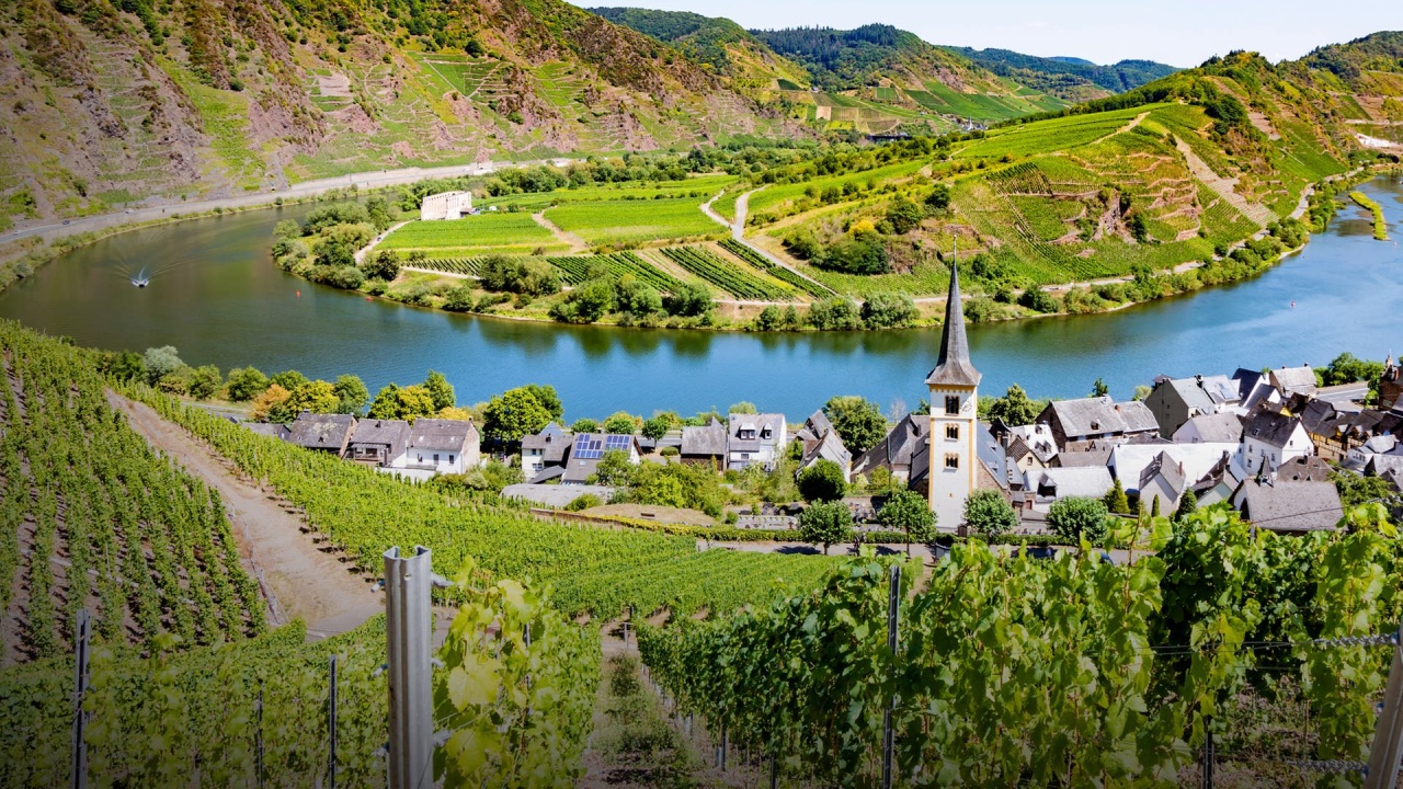 Urlaub an der Mosel: Reise in eine der schönsten Weinregionen Deutschlands