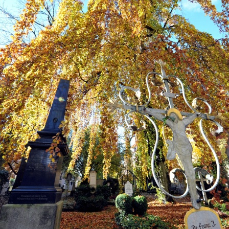 Bayerische Kraftplätze #7 - Der Friedhof