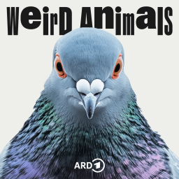 Cover Weird Animals Episode 21 Taube