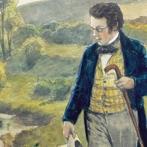 Franz Schubert als Wanderer.