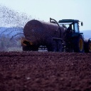 Traktor zieht einen Anhänger, der Gülle versprüht