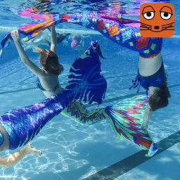 Drei Frauen haben sich als Meerjungfrauen verkleidet und schwimmen mit Flossen in einem Schwimmbad