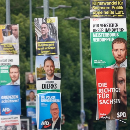 Einige Straßenlaternen, die mit Wahlplakaten behängt sind