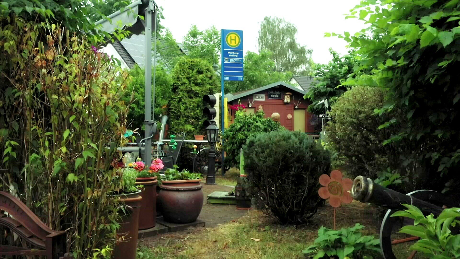 MDR Garten Traumgarten mit Rosen, Gartenteich und Bushaltestelle ARD