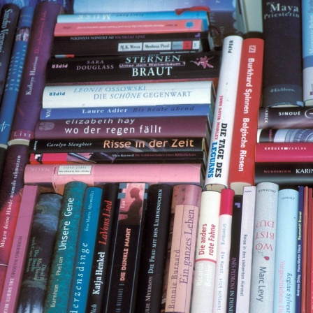 Büchersammlung - Gefülltes Bücherregal mit Romanen von unterschiedlichsten Schriftstellern
