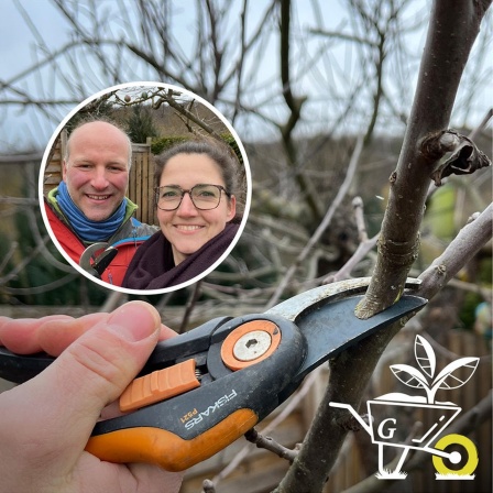 Komm mit in den Garten der ARD GartenPodcast · 56 Grundlagen des