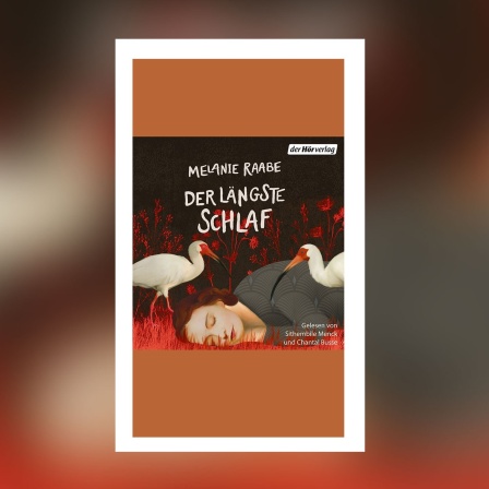 Melanie Raabe - Der längste Schlaf