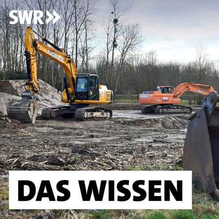 Auf einem Feld in der Nähe des Wasserwerks Bühl-Balzhofen stehen im Februar 2022 Bagger. Dort wird PFC-verunreinigter Boden abgetragen. Das gesundheitsschädliche Gift soll bis 2008 durch einen Kompostunternehmer auf Felder in Mittelbaden gebracht worden sein.