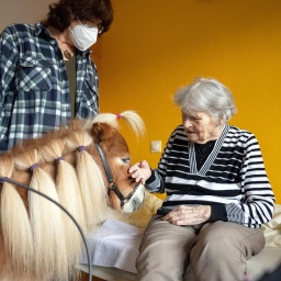 Eine Bewohnerin streichelt in einer Pflegeeinrichtung ein Pony. Der Besuch der Ponys bringt Abwechslung für die Bewohnerinnen und Bewohner.