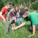 Kinder sammeln Kräuter bei einem Lernangebot auf dem Tiggeshof in Arnsberg