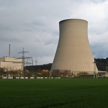 Meiler Emsland in grüner Landschaft mit dem für Atomkraftwerke charakteristischen großen, breiten Schlot.