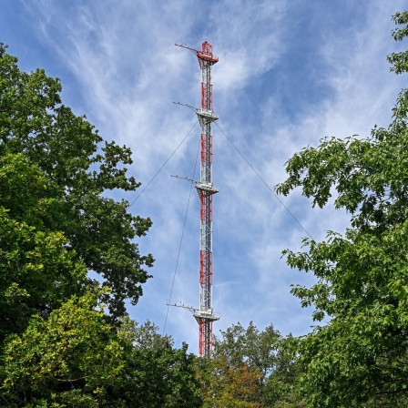 Zum Forschungszentrum Jülich gehört ein 124 Meter hoher Stahlfachwerkmast für meteorologische Messungen. Er ist in 10, 20, 30, 50, 80, 100 und 120 Metern Höhe mit Plattformen ausgestattet, welche Messgeräte tragen.