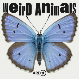 Weird Animals Cover E14