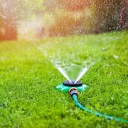 Ein Kreissprenger versorgt einen Rasen mit Wasser.