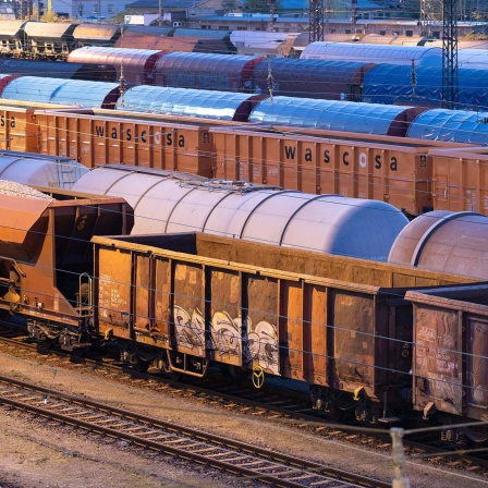 Güterzüge stehen auf einem Abstellgleis.