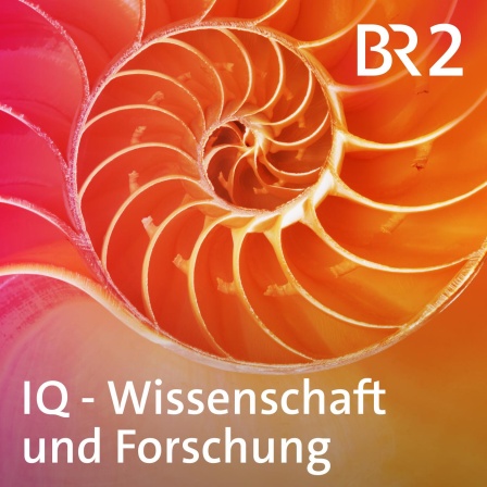 Blaue Murmel vor schwarzem Horizont - Mondlandung verändert Blick auf die Welt