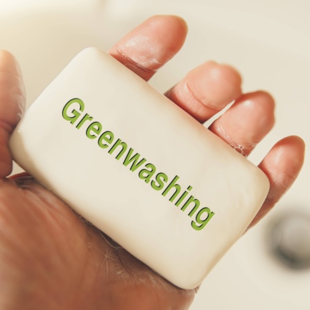 FOTOMONTAGE, Seife mit Aufschrift Greenwashing