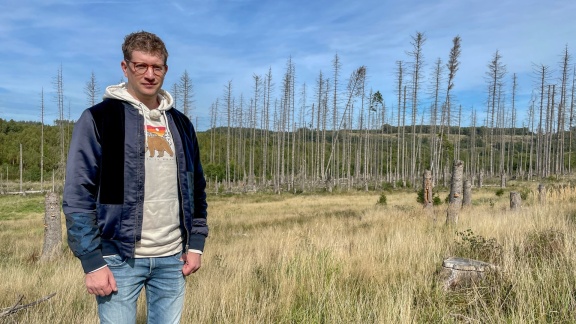 Neuneinhalb - Das Reportermagazin Für Kinder - Tote Bäume überall - Wie Geht’s Weiter Mit Dem Wald.