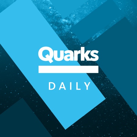 Quarks Daily Schriftzug