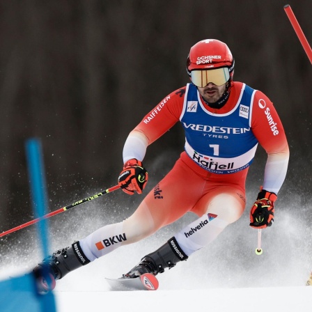Der Schweizer Loic Meillard beim Riesenslalom in Hajfell