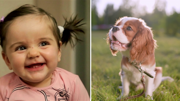 Wer Weiß Denn Sowas? - Was Versteht Man Unter Der 'cute Aggression'.