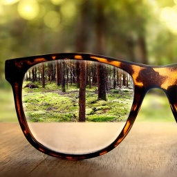 Durchsicht durch eine Brille auf einen Wald