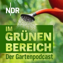 Gießkanne bewässert Pflanzen vor grünem Hintergrund. Im Bildtext steht: „Im grünen Bereich – Der Gartenpodcast“ in großen grünen Buchstaben.