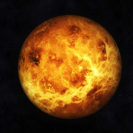 Leben nahe Venus - Atmosphäre des Planeten könnte bewohnbar sein