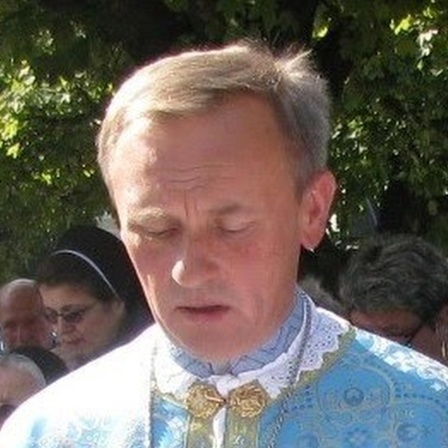 Wolodymyr Viitovitch, Pfarrer