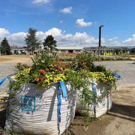 BUGA23 -Blumenkübel auf Spinelli - im Hintergrund &#034;Monnem&#034; und &#034;The Land&#034;