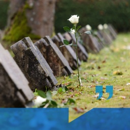 Friedhof Hildburghausen: Eine Rose steckt bei der Gedenkfeier zum Volkstrauertag auf dem Zentralfriedhof vor dem Grab eines im 2. Weltkrieg gefallenen Soldaten. | Bild: picture alliance/dpa | Michael Reichel/BR/HR