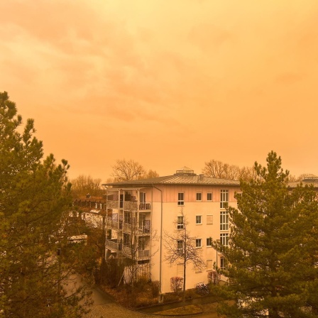 Saharastaub - Wenn sich der Himmel trübt