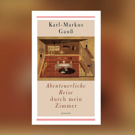 Buchcover: Karl-Markus Gauß: Abenteuerliche Reise durch mein Zimmer