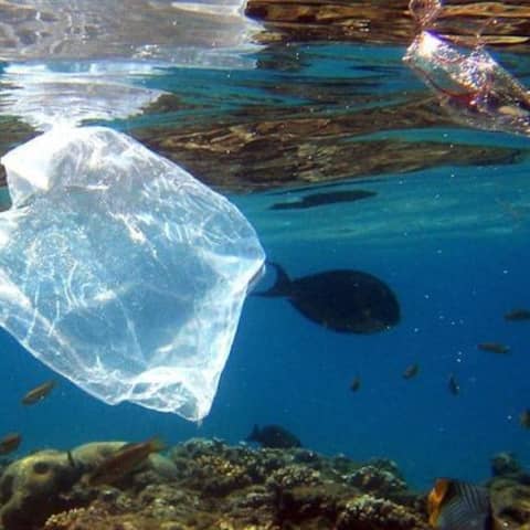 Plastiktüte im Meer