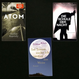 lesenswert Bücher vom 13.4.2025