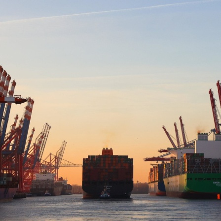 Ein Containerschiff auf der Elbe im Hamburg Hafen zwischen Kränen eines Containerterminals.