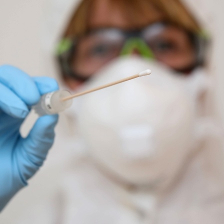 Eine Ärztin hält das Wattestäbchen eines Coronavirus-Tests in der Hand