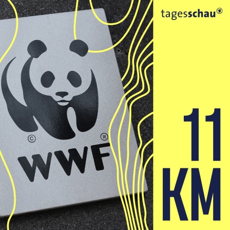 Das Zeichen der WWF (World Wide Fund for Nature). 