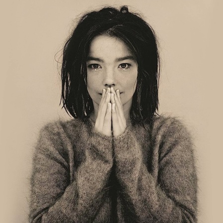 &#034;Debut&#034; heißt passenderweise das erste Soloalbum der isländischen Sängerin Björk.