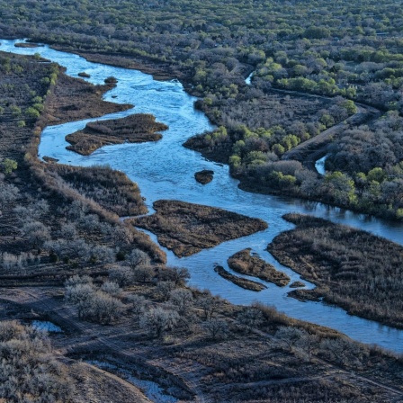 Der Rio Grande in New Mexico