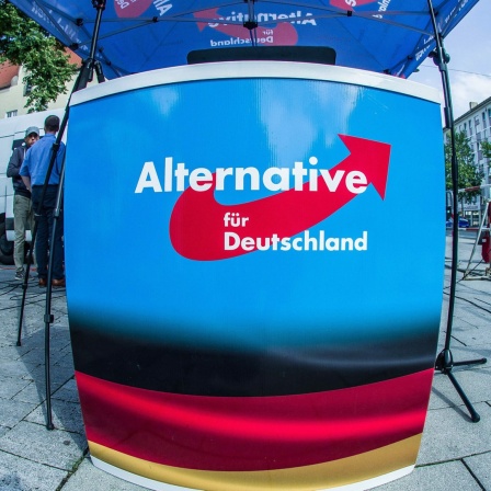 Ein Partei-Straßenstand mit dem Logo der AfD.