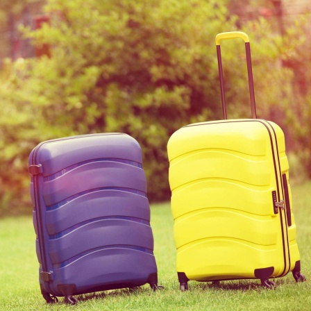 Zwei Koffer stehen auf einer Wiese.