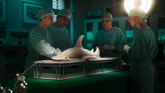Tierärztin Dr. Mertens - Folge 110: Die Zukunft Ist Ungeschrieben (s09/e13)