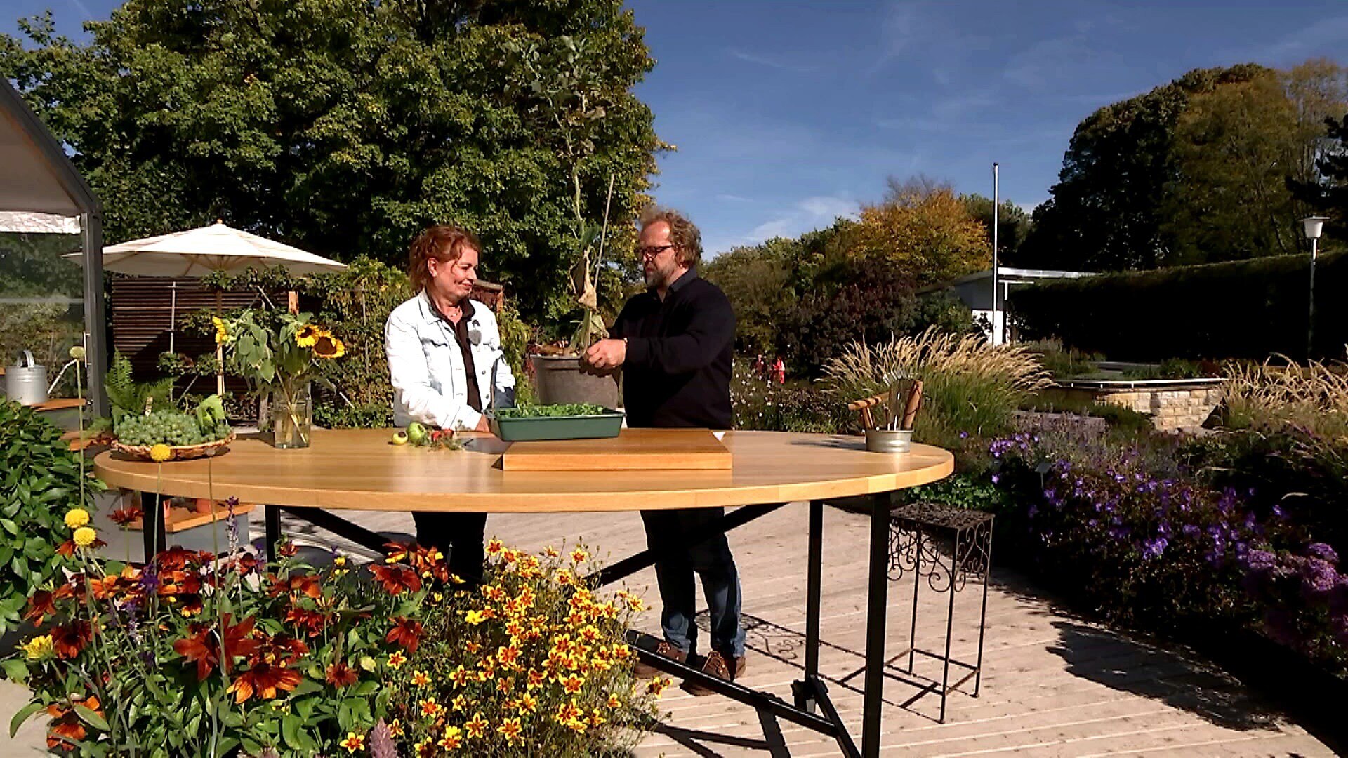 MDR Garten GärtnerTipps von Brigitte Goss Was tun bei Schnecken